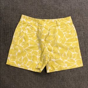 Loft shorts